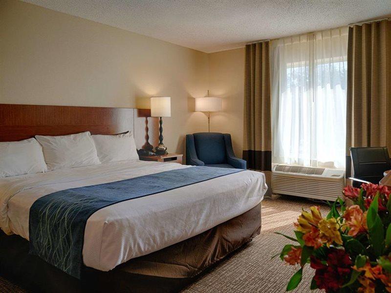 Comfort Inn & Suites North Dallas-Addison Eksteriør billede
