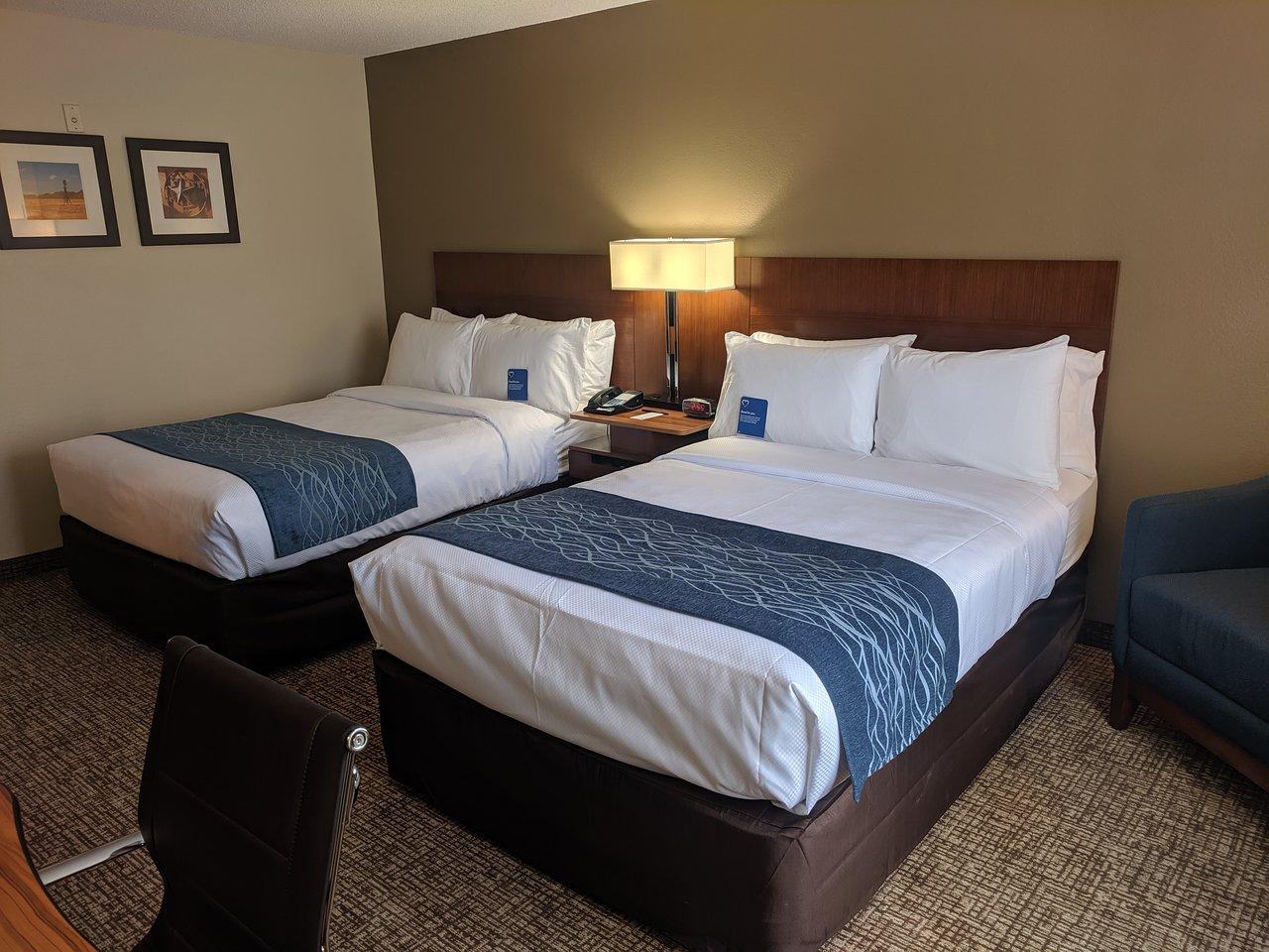 Comfort Inn & Suites North Dallas-Addison Eksteriør billede