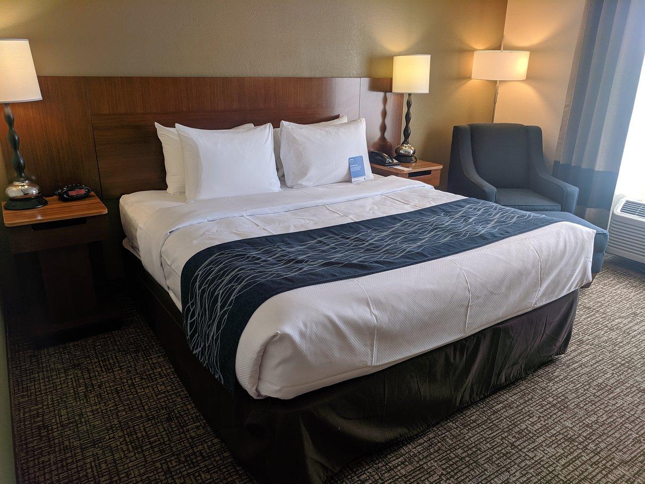 Comfort Inn & Suites North Dallas-Addison Eksteriør billede