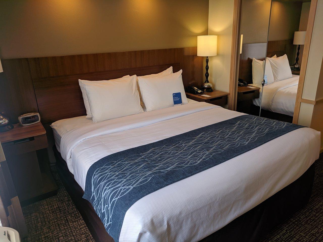Comfort Inn & Suites North Dallas-Addison Eksteriør billede